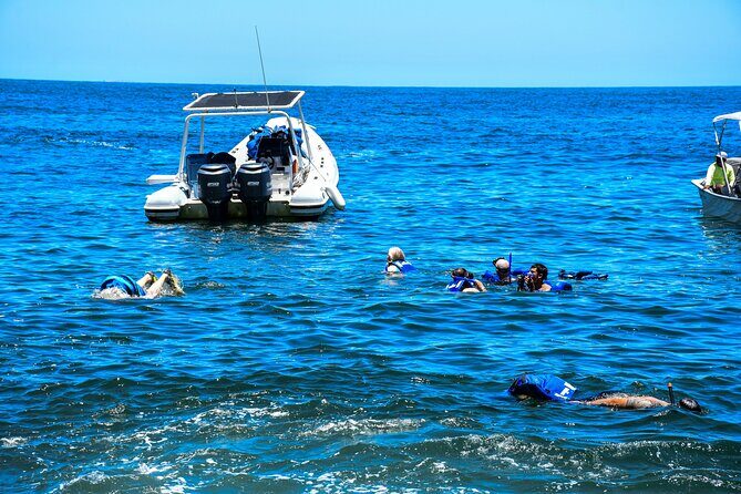 Yelapa Adventure and Snorkeling Escape in Puerto Vallarta - FAQ