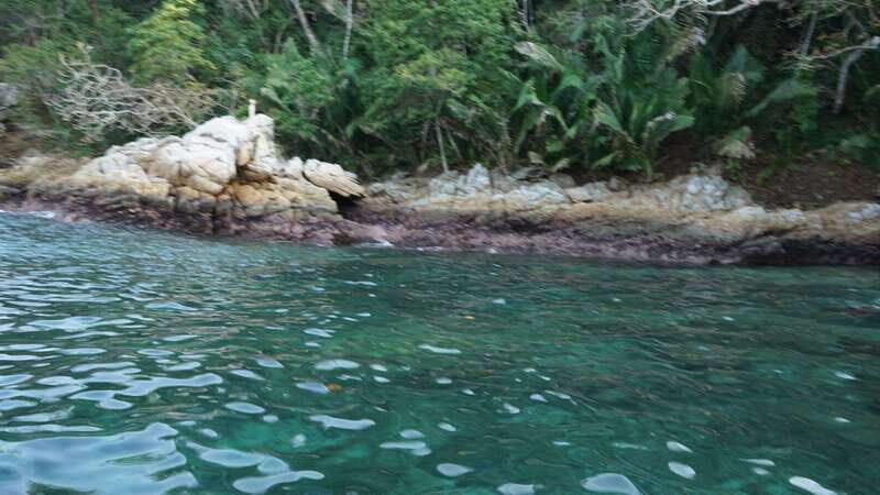 Yelapa: Catamaran Cruise with Lunch and Open Bar - Possible Drawbacks or Considerations