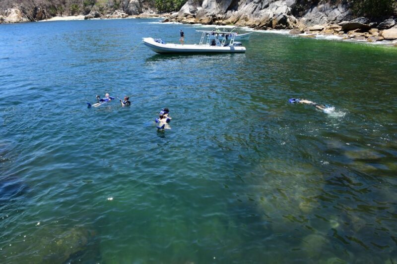 Yelapa Escape & Snorkeling in Puerto Vallarta by Speedboat - FAQ About the Yelapa Escape & Snorkeling Tour