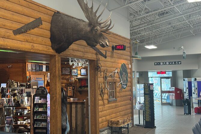 Yellowknife Airport Shuttle - Pricing and Value