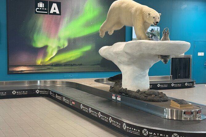 Yellowknife Airport Shuttle - Final Thoughts