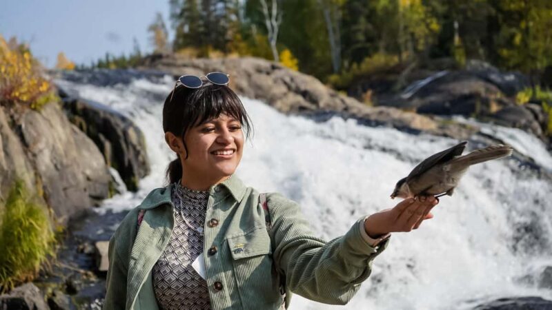 Yellowknife: Cameron Falls Nature Hiking Tour - Is This Tour Worth It?