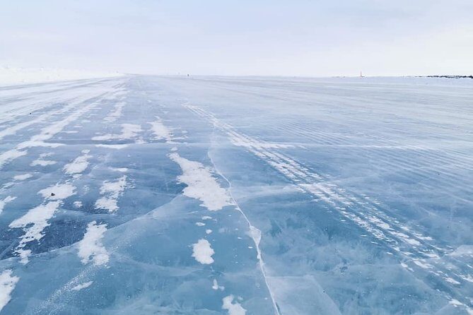 Yellowknife City Tour + Nature's North Wildlife Gallery - An In-Depth Look at the Tour