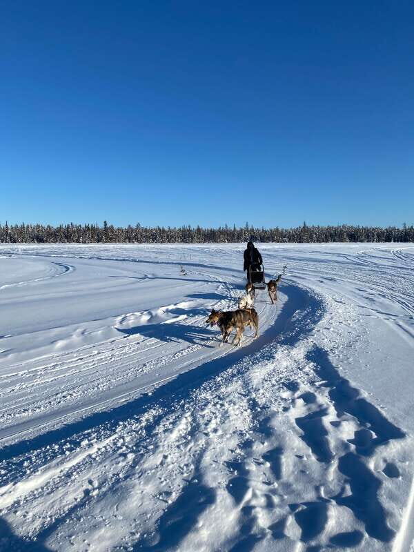 Yellowknife: Dog Sledding Tour - Final Thoughts