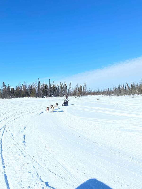 Yellowknife: Dog Sledding Tour - FAQ
