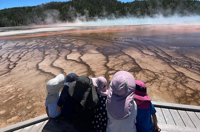 Yellowstone Bus Tour - Who is this tour best for?