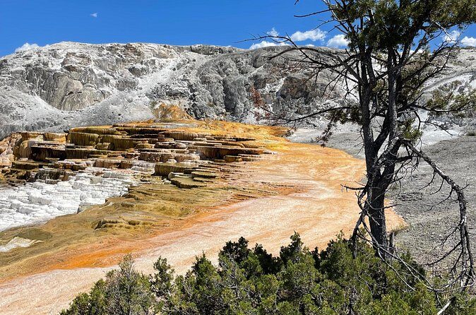 Yellowstone Bus Tour - FAQ