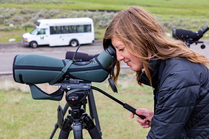 Yellowstone Day Adventure - Is This Tour Right for You?