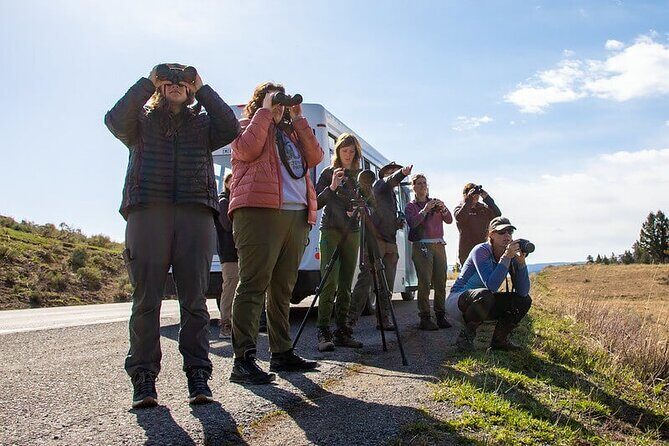 Yellowstone Day Adventure - The Sum Up