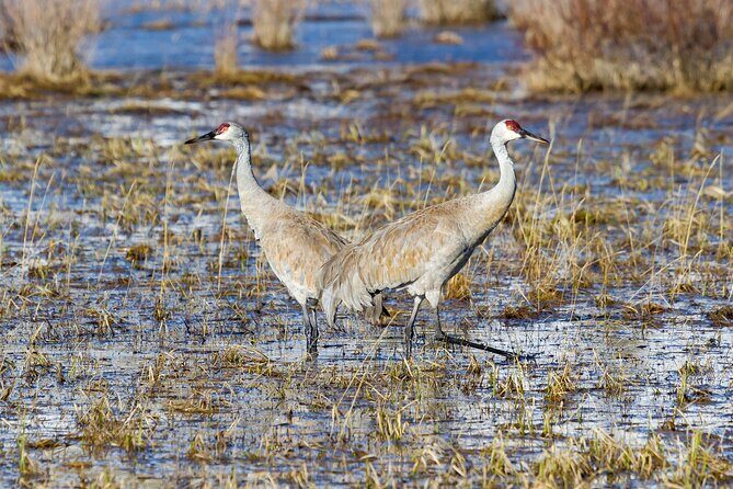 Yellowstone Day Adventure - FAQ