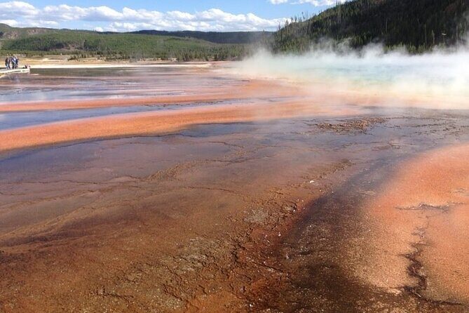 Yellowstone For Kids Family Fun Tour w/PU in West Yellowstone - An In-Depth Look at the Yellowstone For Kids Tour