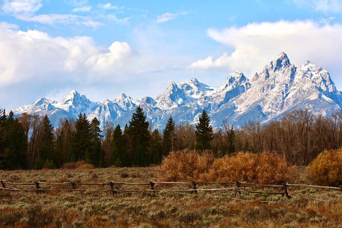 Yellowstone Full Day Tours - Why This Tour Might Be Perfect for You