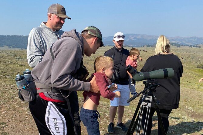 Yellowstone Full-Day Upper Loop with Wildlife Adventure w/Lunch - A Closer Look at the Yellowstone Full-Day Upper Loop with Wildlife Adventure