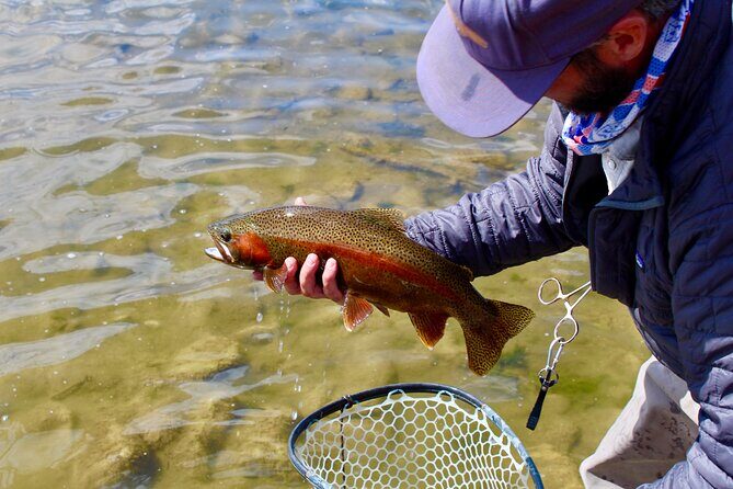 Yellowstone Full Day Wade Fishing Trip - The Value of the Experience