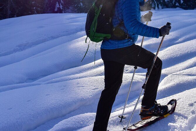 Yellowstone Full Day Winter Tour (With Optional Hike or Snowshoe) - FAQs