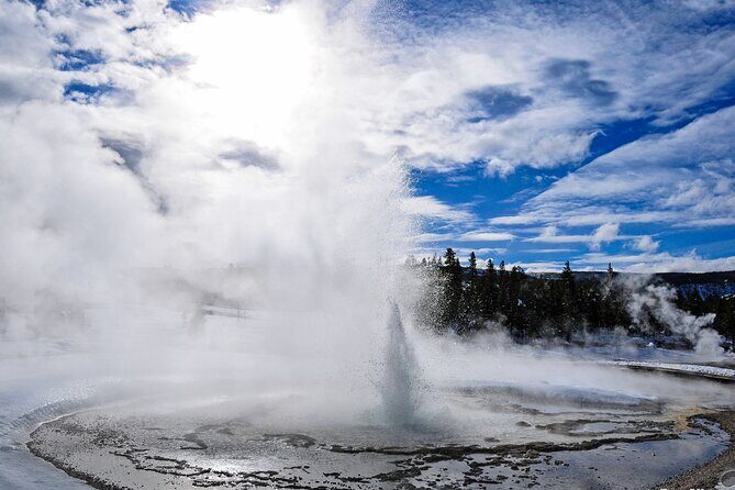 Yellowstone & Grand Teton National Parks Winter Tour 5-Day - Final Thoughts