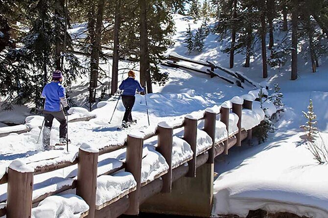 Yellowstone & Grand Teton National Parks Winter Tour 5-Day - FAQ