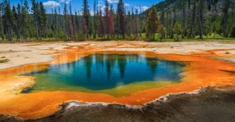 Yellowstone & Grand Tetons: 4-Day/3-Night Wildlife Adventure - Key Points