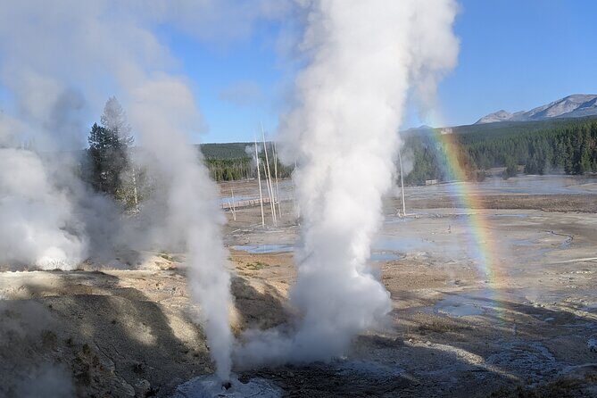 Yellowstone Grand Tour: See All Yellowstone In One Day - Who Will Love This Tour?