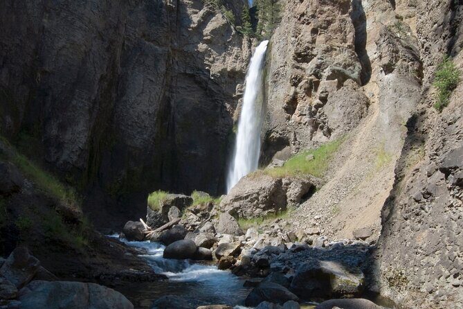 Yellowstone in a Day - Wildlife, Canyons, & Hot Springs - Key Points