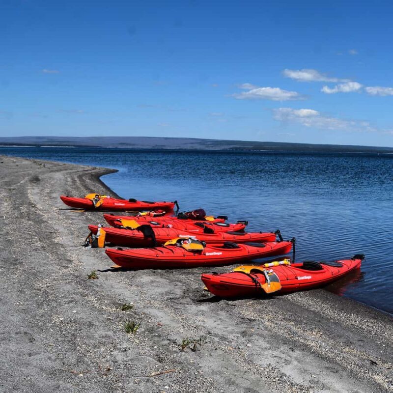 Yellowstone Lake Kayaking Adventure Among Thermal Features - What to Expect During the Tour