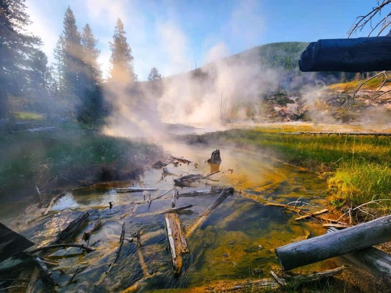 Yellowstone Lower Loop - Private Full Day Tour - The Real Value of the Tour