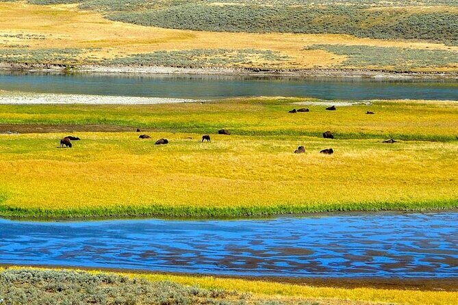 Yellowstone Lower Loop VIP Full-Day Private Tour with Lunch - Final Thoughts