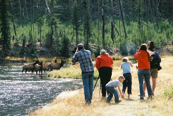 Yellowstone Lower (Southern) Loop Tour - Who Is This Tour Best For?