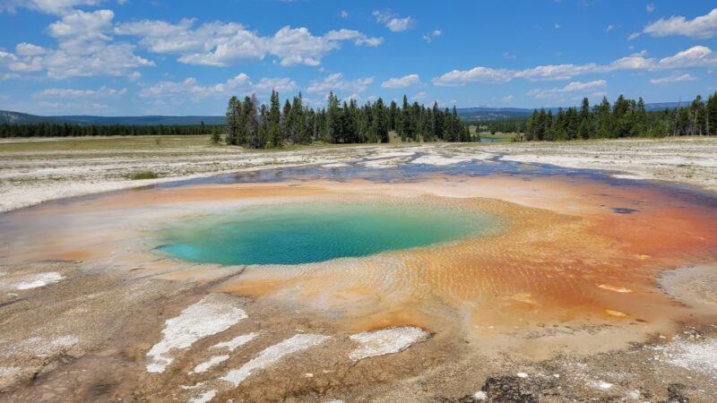 Yellowstone National Park Private Day Tour - The Guide and the Experience