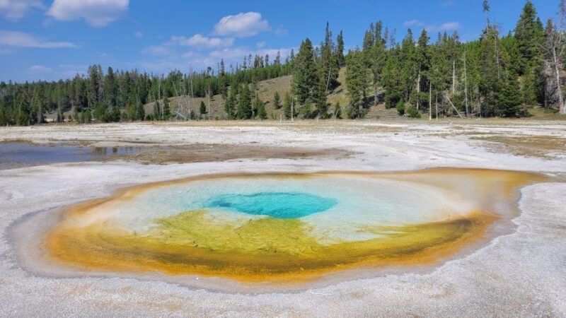 Yellowstone National Park Private Day Tour - Who Will Love This Tour?