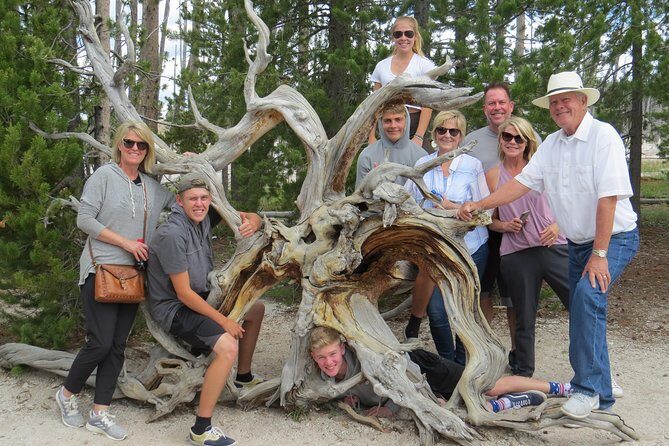 Yellowstone National Park - PRIVATE Full-Day Lower Loop Tour from W. Yellowstone - What to Expect from Your Yellowstone Private Tour