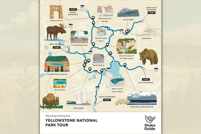Yellowstone National Park Self-Guided Audio Tour - A Deep Dive into the Yellowstone Experience