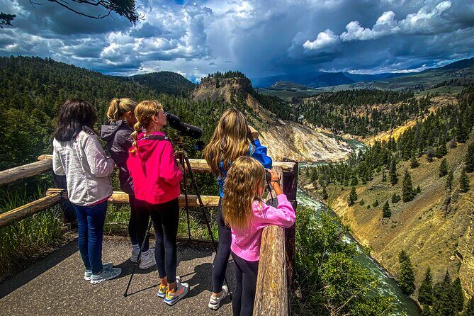 Yellowstone Nat'l Park Full Day Tour From Cody, WY - Who Is This Tour Best For?
