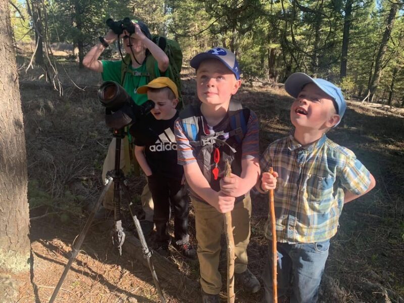 Yellowstone Old Faithful and Waterfall Tour - Key Points