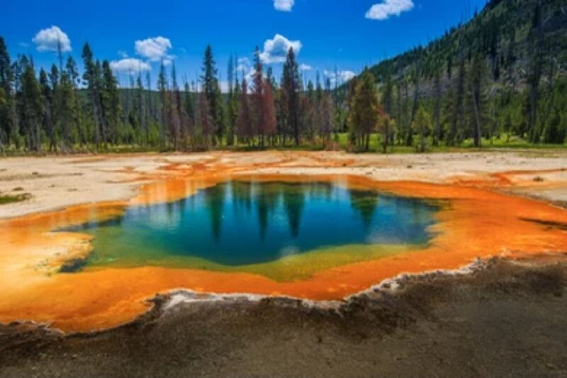 Yellowstone: Old Faithful, Waterfalls, and Wildlife Day Tour - Wrapping It Up: Who Is This Tour Best For?