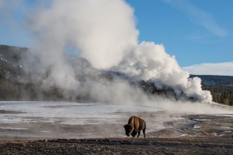 Yellowstone: Old Faithful, Waterfalls, and Wildlife Day Tour - FAQ