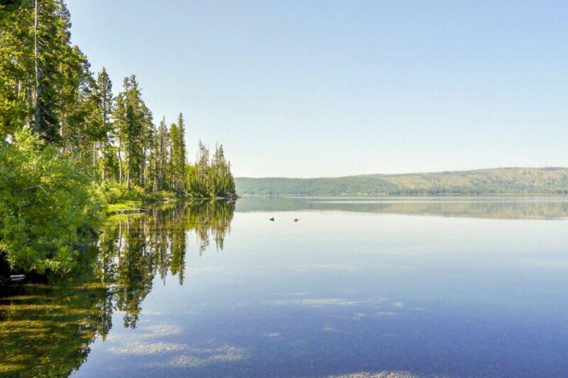 Yellowstone: Private Lewis Lake Fishing Trip From Jackson - FAQ