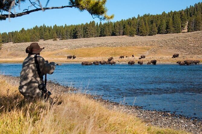 Yellowstone Through the Lens Photography Adventure - Key Points