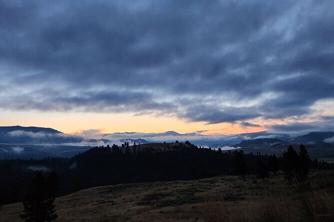 Yellowstone Wildlife Tour - The Value of the Experience