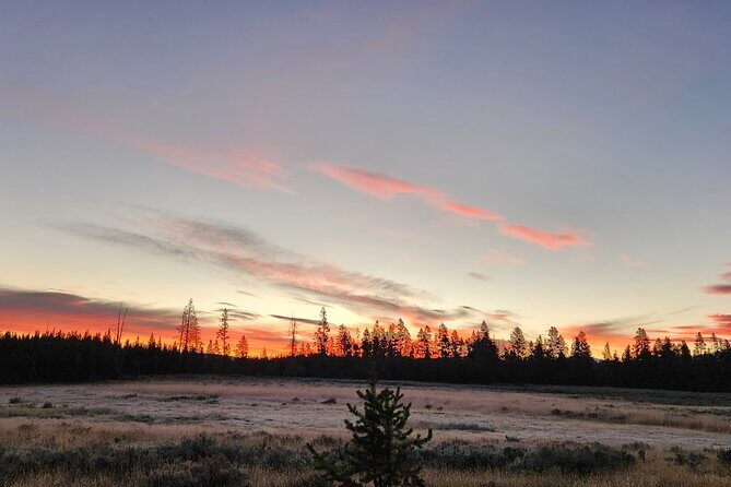 Yellowstone Wildlife Tour - Final Thoughts