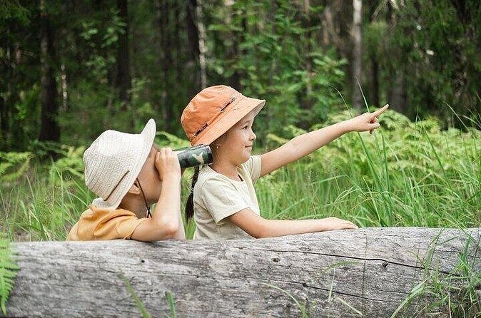 Yellowstone's Nature's Playground in a Family-Friendly Adventure - Who Would Love This Tour?