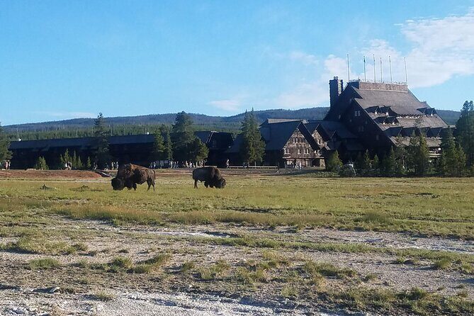 Yellowstone's Upper Geyser Basin: A Self-Guided Audio Tour - Final Thoughts