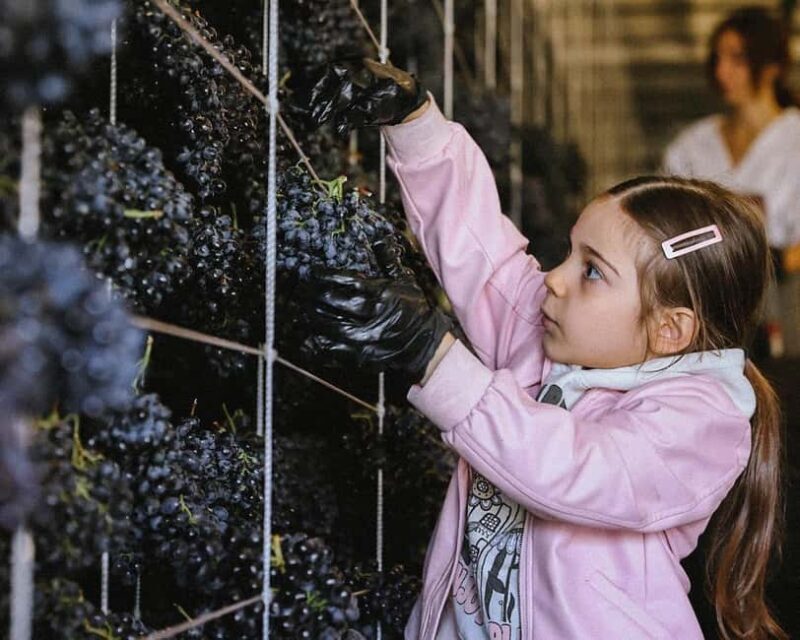 Yerevan: Gevorkian Winery Tour and Tasting Experience - Key Points