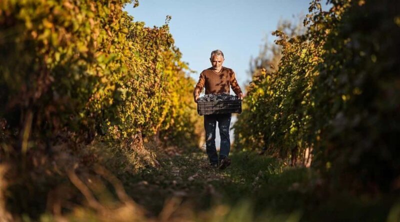 Yerevan: Gevorkian Winery Tour and Tasting Experience - What to Expect on Your Visit