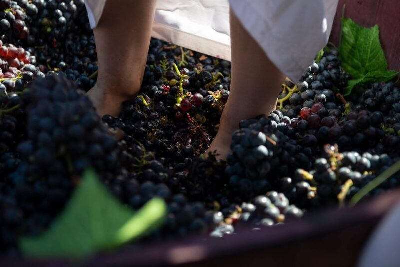 Yerevan: Khor Virap Day Trip with Mount Ararat Wine Tasting - What This Tour Offers: A Blend of History, Scenery, and Wine