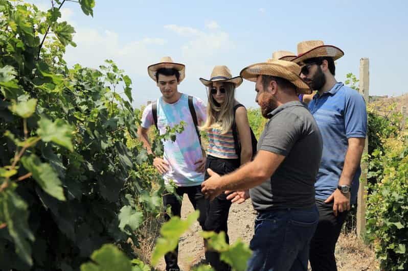 Yerevan: Khor Virap Day Trip with Mount Ararat Wine Tasting - Who Is This Tour Best For?