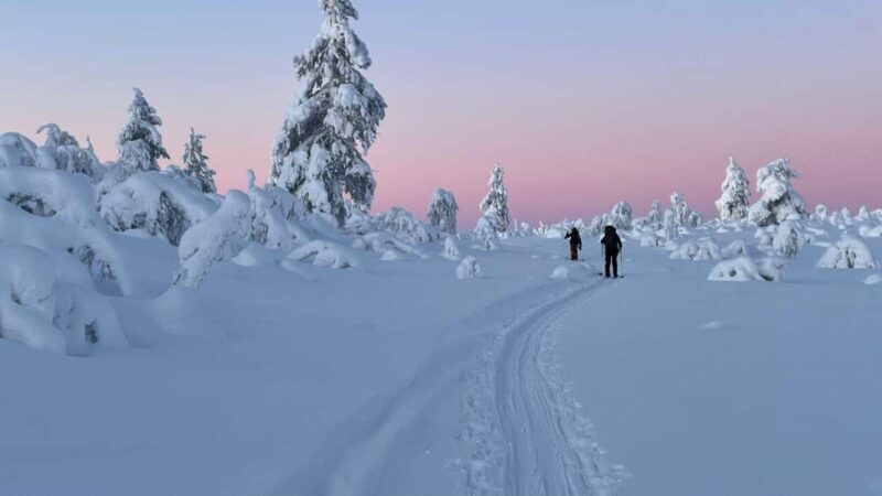 Ylläs: Guided Nordic Skiing Tour in Lapland Wilderness - Key Points