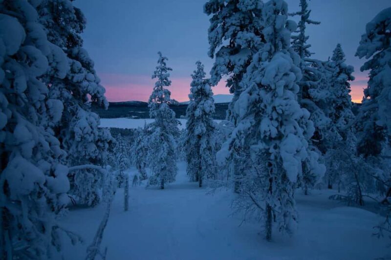 Ylläs: Guided Nordic Skiing Tour in Lapland Wilderness - Exploring the Guided Nordic Skiing Adventure in Lapland