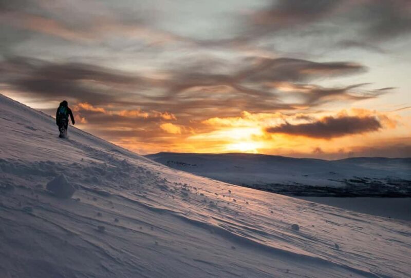 Ylläs: Guided Snowshoeing Adventure to Kesänki Fell - The Experience and Guide
