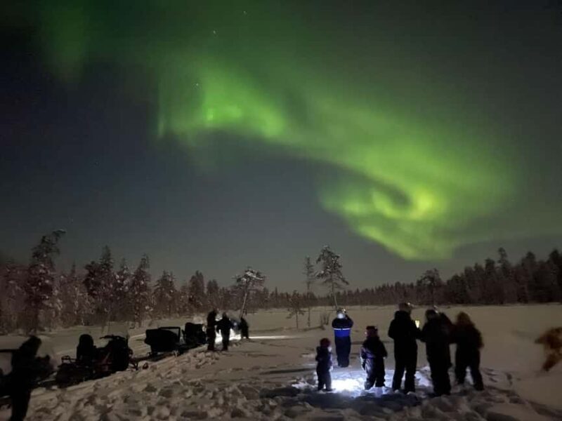 Ylläs: Northern Lights Snowmobile Safari with Transfers - What to Expect on the Tour